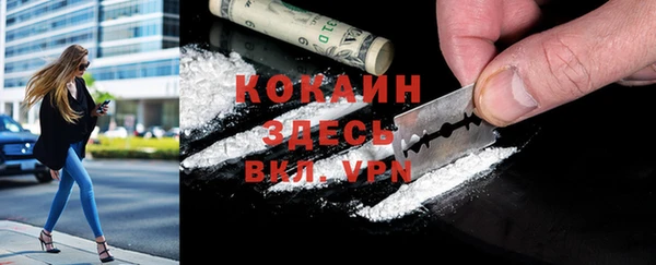 индика Абинск