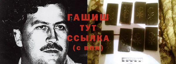 индика Абинск