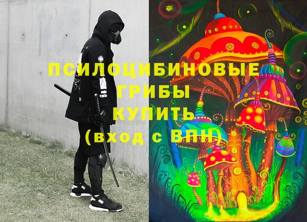 индика Абинск