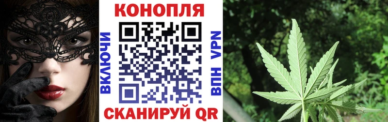Бошки марихуана White Widow купить наркотики сайты Тайга